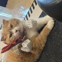 nhỏ tác thik bắt🐟✌️