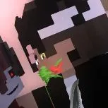 Sac
