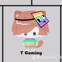 T Gaming uuuuuuuuuuu