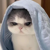 Khùng điên tẻn mát