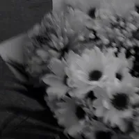 Zenkyra (tác giả)