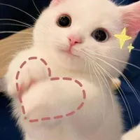 Anh em nhà Bách Việt