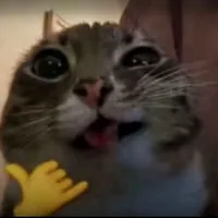tg