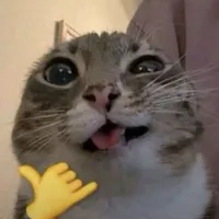 con t/g ngu toán💔