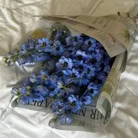 Coer xinh nhất 🐢