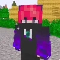 hiha enderman