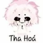 hiha tha hóa