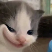 môi kể ^^