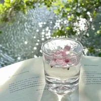 💿𝙽𝚑𝚊̂𝚗 𝚟𝚊̣̂𝚝 𝚋𝚒́ 𝚊̂̉𝚗 #2💿