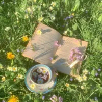 🎀𝙽𝚑𝚊̂𝚗 𝚟𝚊̣̂𝚝 𝚙𝚑𝚞̣- 𝚗𝚞̛̃🎀