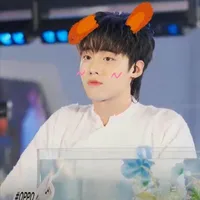 Hải Đăng Doo