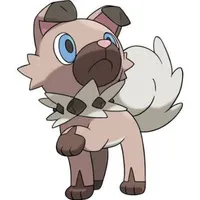 Rockruff_Murdock