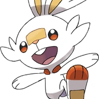 Scorbunny_Koyama