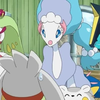 Primarina_Koyama