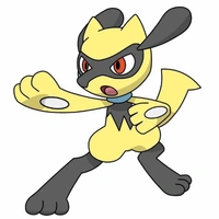 Riolu_Koyama(Sen)