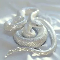 Rin vẫn rắn