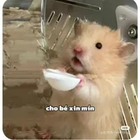 nhân vật phụ