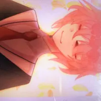 TT hiha
