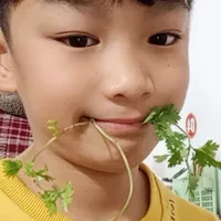 nghiện 2