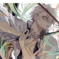 saneni