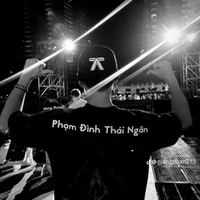 Phạm Đình Thái Ngân