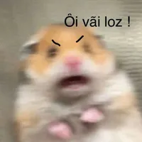 Nguyễn Thái Minh Ngọc