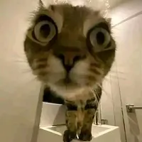 tất cả suv (-ai thì -)