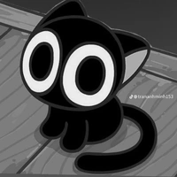 hệ thống đẹp dai