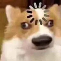 tất cả trừ bot( alpha)