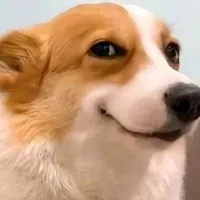 tất cả ( - gv)