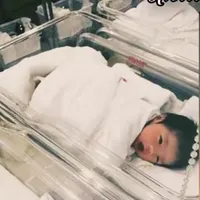 Nguyễn Phạm hoàng  anh