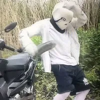 Alpha