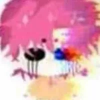 hiha glitch 