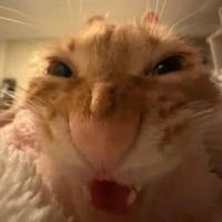 Tít