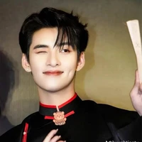Huỳnh Hoàng Hùng-Gemini