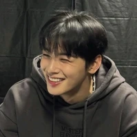 Cha Eunwoo