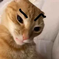 Meow