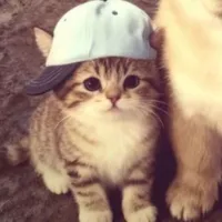 tg dễ thương nhứt thế giới