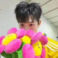 Lê Hồ Phước Thịnh