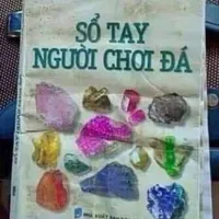 All mọi người 