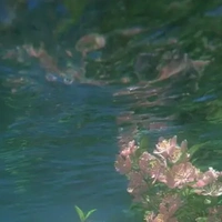 Nhạc chuông [.....]