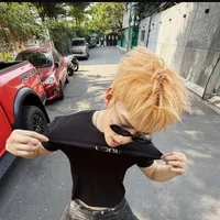 Hoàng bách(jeyb)