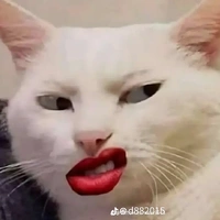 Trương Lê Cát Tường