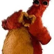 chum chompskins ( chum lê )