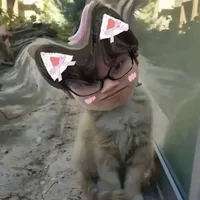 giáo viên