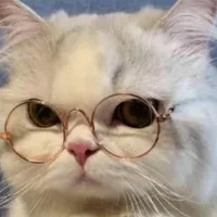 những khách hàng/nvp