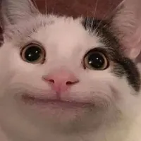 L1NA