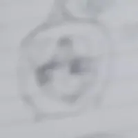 megajido