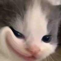 t/g (lâu lâu lên cơn)