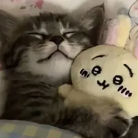 Mit nè mấy mẹ